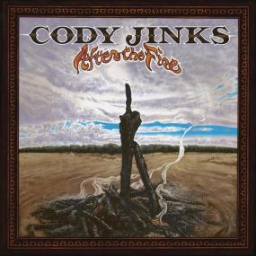 Cody Jinks - After the Fire <span style=color:#777>(2019)</span> [320]