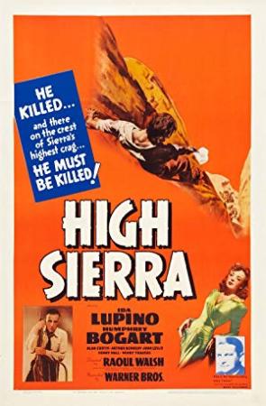 High Sierra 1941 WEBRip x264<span style=color:#fc9c6d>-ION10</span>