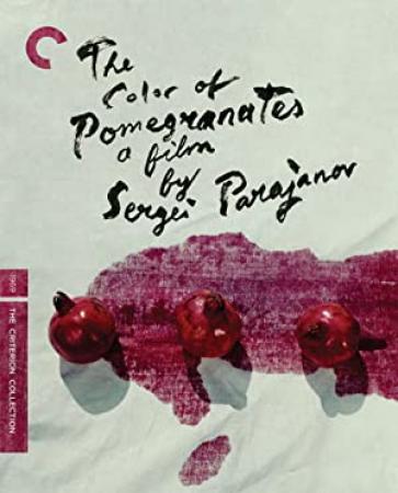 The Color of Pomegranates<span style=color:#777> 1969</span> Yutkevich Cut BDRip x264-BiPOLAR[N1C]