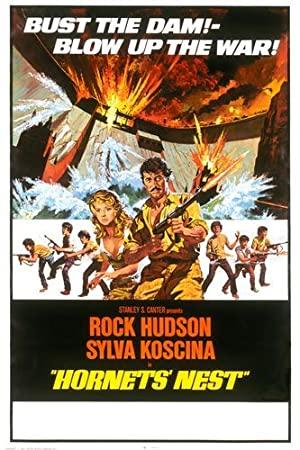 Hornets Nest<span style=color:#777> 1970</span> BRRip XviD MP3-XVID