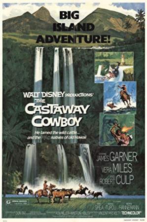 The Castaway Cowboy<span style=color:#777> 1974</span> 720p AMZN WEBRip DDP2.0 x264-ABM