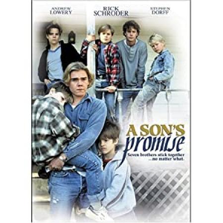 A Sons Promise <span style=color:#777>(1990)</span> [720p] [WEBRip] <span style=color:#fc9c6d>[YTS]</span>
