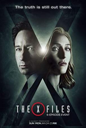 The X-Files Season 1-9 remux v2 1080p x265 DTS bluegate