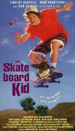 The Skateboard Kid<span style=color:#777> 1993</span> NTSC DVDR[SN]