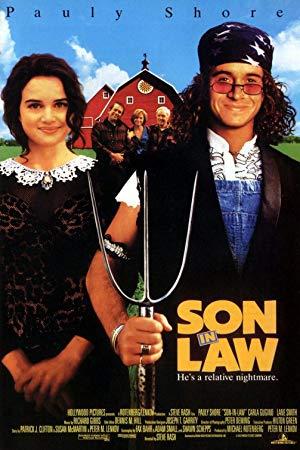 Son in Law <span style=color:#777>(1993)</span>720p WebRip AAC Plex[SN]