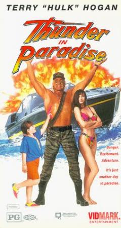 Thunder in Paradise<span style=color:#777> 1993</span> DVDRip x264-playSD