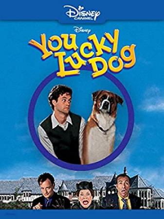 You Lucky Dog<span style=color:#777> 2010</span> WEBRip XviD MP3-XVID