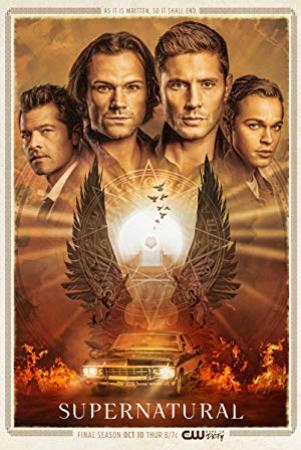 Supernatural S10 FRENCH WEB-DL XviD-ARK01