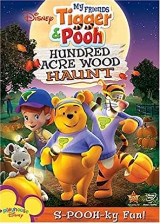 My Friends Tigger and Pooh S01E18 DVDRip x264-KiDDoS