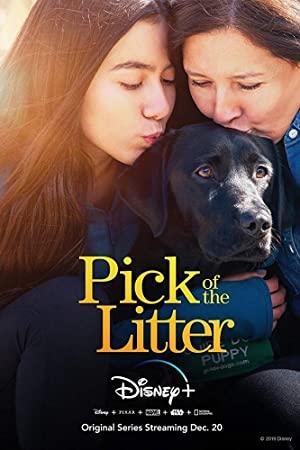 Pick of the Litter S01E06 Together at Last 720p DSNP WEBRip DDP5.1 x264<span style=color:#fc9c6d>-NTb[rarbg]</span>