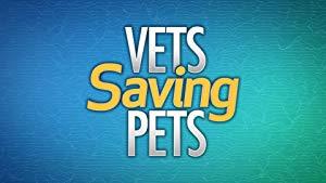 Vets Saving Pets S02E16 A Bit Of Elbow Grease WEB x264<span style=color:#fc9c6d>-LiGATE[rarbg]</span>