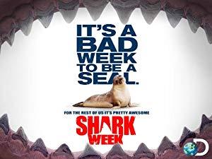 Shark Week<span style=color:#777> 2014</span> I Escaped Jaws 2 720p HDTV x264<span style=color:#fc9c6d>-CROOKS[rarbg]</span>