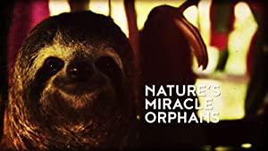 Natures Miracle Orphans S01E01 480p HDTV x264<span style=color:#fc9c6d>-mSD</span>