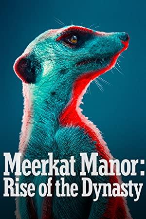 Meerkat Manor Rise of the Dynasty S01E12 Hell and High Water 720p AMZN WEB-DL DDP5.1 H.264<span style=color:#fc9c6d>-TEPES[eztv]</span>