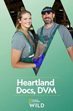 Heartland Docs DVM S01E03 Doggie Delivery 720p HEVC x265-MeGus
