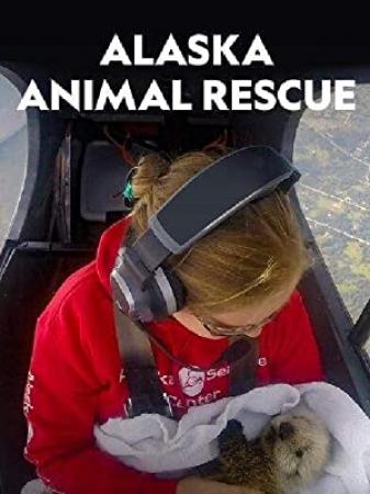 Alaska Animal Rescue Series 1 3of6 Seal Pup Voyage 1080p HDTV x264 AAC