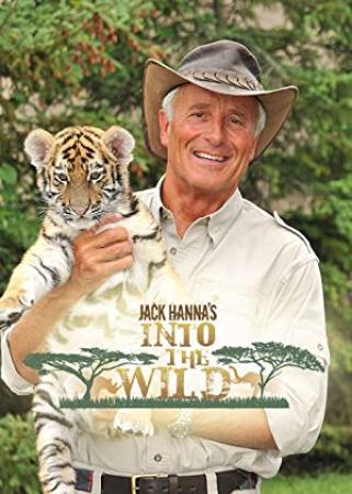 Jack Hannas Into the Wild S13E01 Addo Elephant National Park 1080p HDTV x264<span style=color:#fc9c6d>-CRiMSON[rarbg]</span>