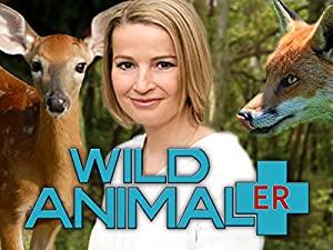 Wild Animal ER S01E13 HDTV XviD<span style=color:#fc9c6d>-AFG</span>