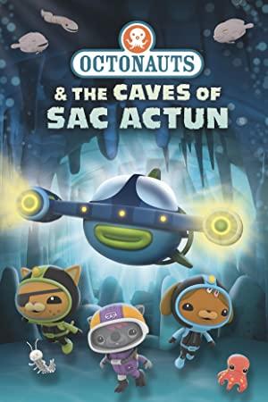 Octonauts and the Caves of Sac Actun<span style=color:#777> 2020</span> FRENCH WEBRip XviD<span style=color:#fc9c6d>-EXTREME</span>
