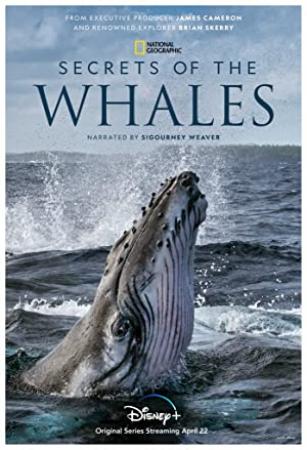 Secrets Of The Whales S01 1080p DSNP WEBRip DDP5.1 x264-WH4L3S<span style=color:#fc9c6d>[eztv]</span>