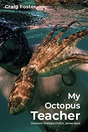 My Octopus Teacher<span style=color:#777> 2020</span> 720p NF WEB-DL x265 HEVC-HDETG