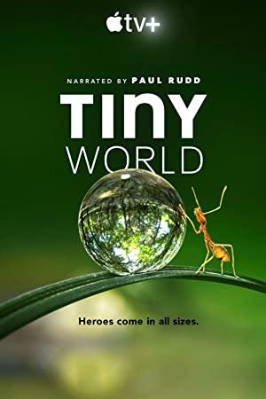 Tiny World S01E05 Woodland 2160p ATVP WEBRip DDP5.1 x265<span style=color:#fc9c6d>-NTb[eztv]</span>