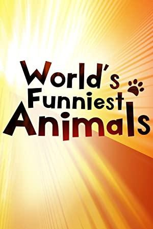 Worlds Funniest Animals S01E10 720p WEB h264<span style=color:#fc9c6d>-BAE[TGx]</span>