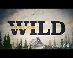 Nature Gone Wild S01E05 Bad Kitty 720p HDTV x264<span style=color:#fc9c6d>-CRiMSON[eztv]</span>
