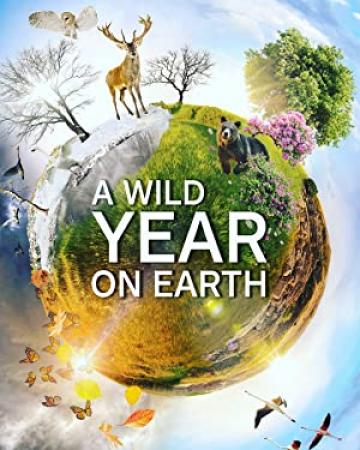 A Wild Year On Earth S01E04 July-August A Time Of Migration 1080p AMZN WEBRip DDP2.0 x264<span style=color:#fc9c6d>-NTb[rarbg]</span>