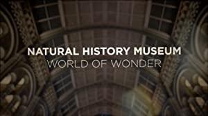 Natural History Museum World of Wonder S01E02 1080p HEV