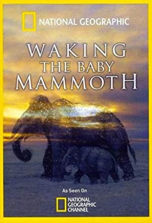 Waking The Baby Mammoth<span style=color:#777> 2009</span> BluRay 720p x264 DTS-MySiLU [PublicHD]