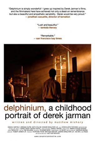 Delphinium A Childhood Portrait of Derek Jarman<span style=color:#777> 2009</span> BDRip x264-BiPOLAR[rarbg]