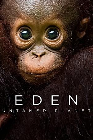 Eden Untamed Planet S01E06 720p WEB H264<span style=color:#fc9c6d>-BIGDOC[rarbg]</span>