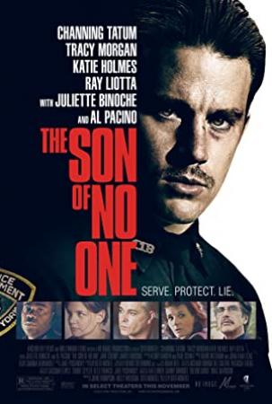The Son of No One<span style=color:#777> 2010</span> 480p BRRip Xvid AC3-LTRG