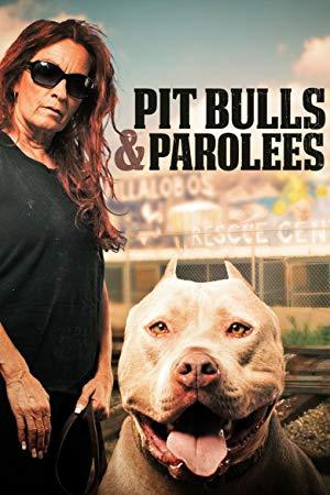 Pit Bulls and Parolees S13E06 Fire Dog 1080p WEB x264<span style=color:#fc9c6d>-CAFFEiNE</span>