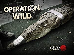 Operation Wild<span style=color:#777> 2014</span> S01E02 480p HDTV x264<span style=color:#fc9c6d>-mSD</span>