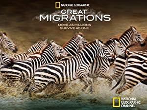 Great Migrations<span style=color:#777> 2010</span> 720p 10bit BluRay x265-budgetbits