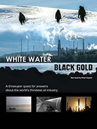 White Water Black Gold<span style=color:#777> 2011</span> WEBRip x264<span style=color:#fc9c6d>-ION10</span>