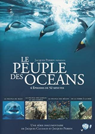 海洋王国 Kingdom of the Oceans<span style=color:#777> 2011</span> 1080p BluRay x264 AAC CHS-LxyLab