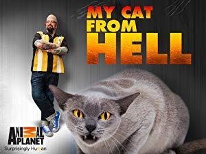 My Cat From Hell S05E03 Surprise Attack Cat 720p WEB x264-GIMI