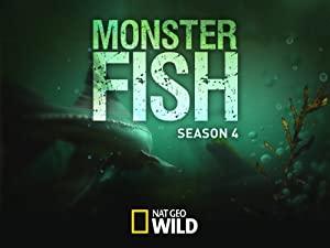 Monster Fish S05E05 Frankenfish 720p HDTV x264-ASCENDANCE