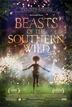 Beasts of the Southern Wild <span style=color:#777>(2012)</span> (1080p BluRay x265 HEVC 10bit AAC 5.1 Silence)