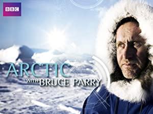 Arctic <span style=color:#777>(2018)</span> 720p BluRay x264-[MoviesFD]