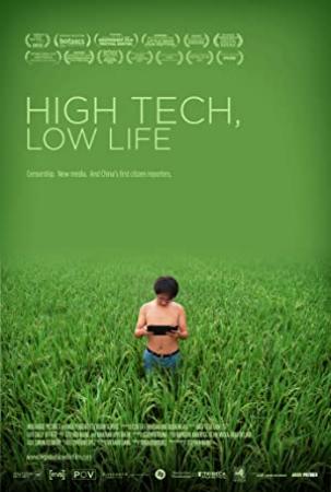 High Tech Low Life<span style=color:#777> 2012</span> RERiP SUBBED DVDRiP x264-LiViDiTY