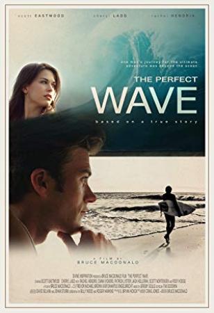 The Perfect Wave<span style=color:#777> 2014</span> WEBrip XviD AC3 MiLLENiUM