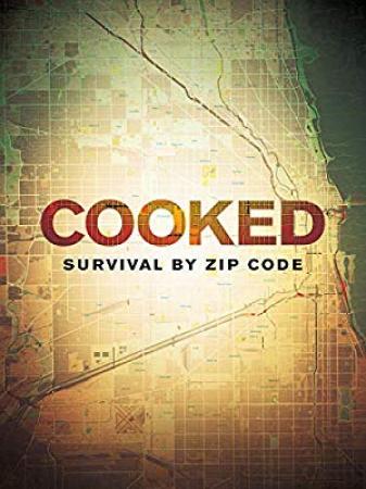 Cooked Survival By Zip Code<span style=color:#777> 2019</span> 1080p PBS WEBRip AAC2.0 x264<span style=color:#fc9c6d>-NOGRP</span>