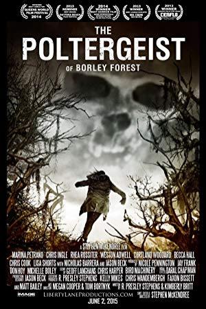 The Poltergeist Of Borley Forest <span style=color:#777>(2013)</span> [1080p] [YTS AG]