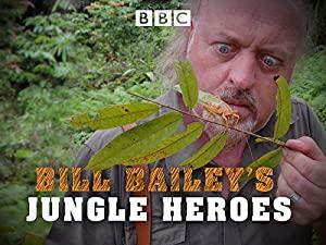 Bill Baileys Jungle Hero S01 1080p AMZN WEBRip DDP2.0 x264<span style=color:#fc9c6d>-Cinefeel[rartv]</span>