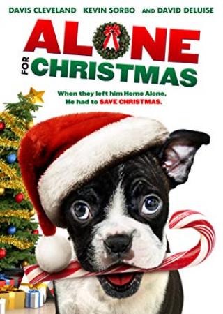 Alone for Christmas<span style=color:#777> 2013</span> BRRiP XViD AC3-H34LTH