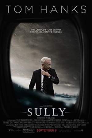 Sully <span style=color:#777>(2016)</span> 720p BluRay x264 ORG Hindi PGS Subtitle English Audio - MoviesMB